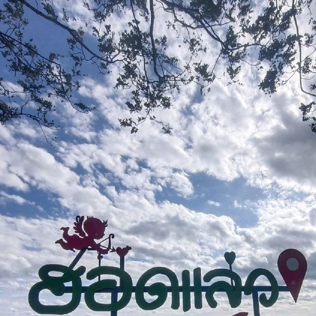 สายโสดต้องมา ผาสละโสด อุทยานแห่งชาติน้ำพอง