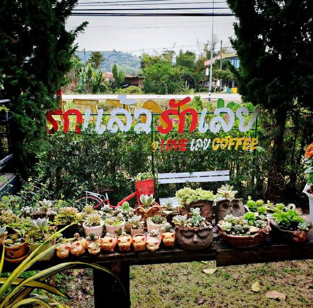 Love Loei Coffee รักแล้วรักเลย คาเฟ่ดีที่ภูเรือ