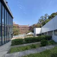 行山：香港大學—龍虎山—西高山—山頂