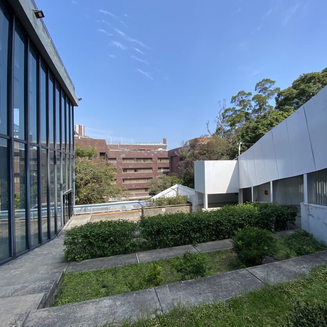 行山：香港大學—龍虎山—西高山—山頂