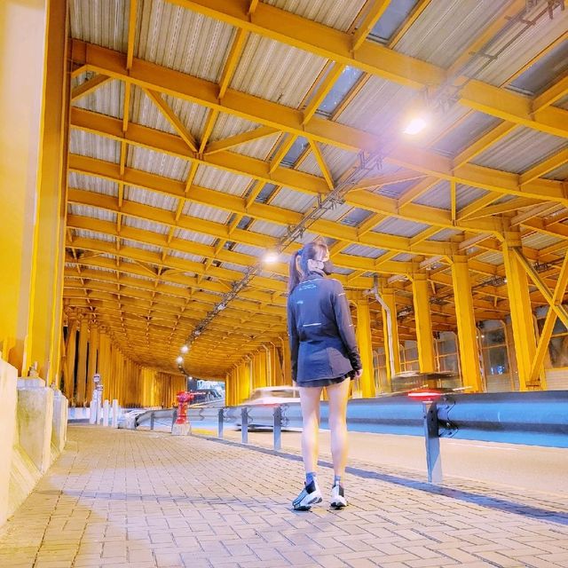 走往橙色港版千本鳥居隧道