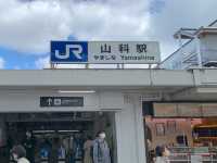 京都　SAKURA 桜めぐり❗️JR山科駅〜毘沙門堂まで散策してみた！