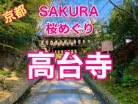 京都　SAKURA 桜めぐり❗️高台寺の桜に感動❗️