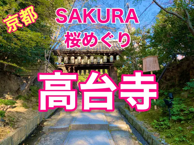 京都　SAKURA 桜めぐり❗️高台寺の桜に感動❗️