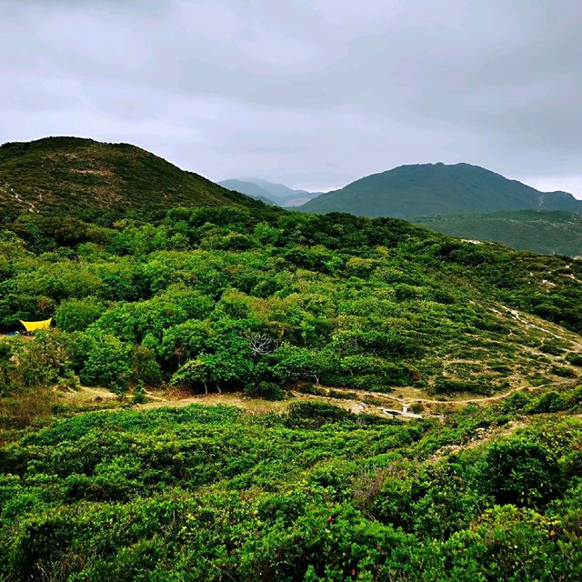 隱世山脈白虎山