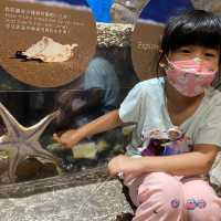 海洋公園返嚟啦！