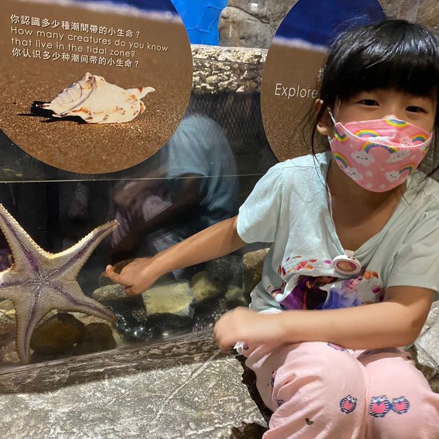 海洋公園返嚟啦！