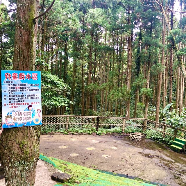 新竹關西｜馬武督探索森林 夏日避暑好去處