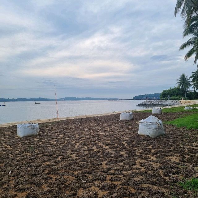 A Hidden Beach In The East