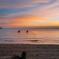 Beautiful Sunset 