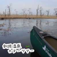 野生動物と出会えるカヌーツアー