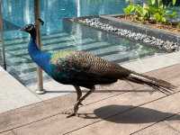 Heritage hotel tours and workshops