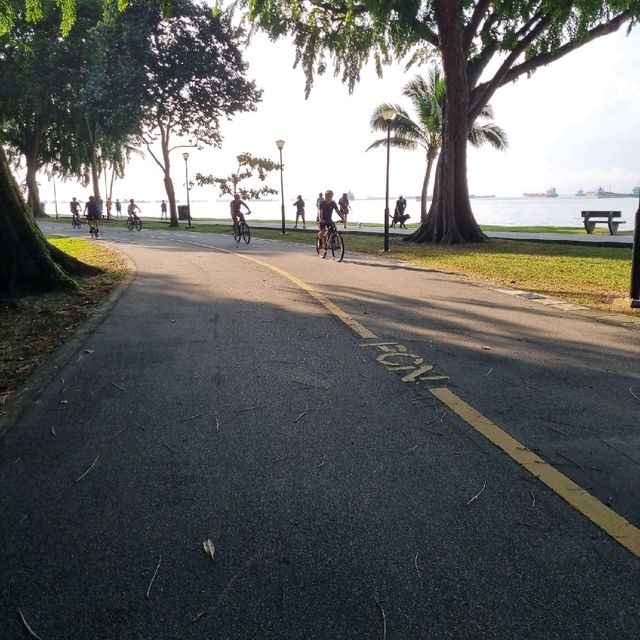 Cycling At East Coast Park