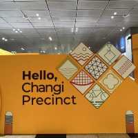 ✈️ Changi Airport Precinct exhibition