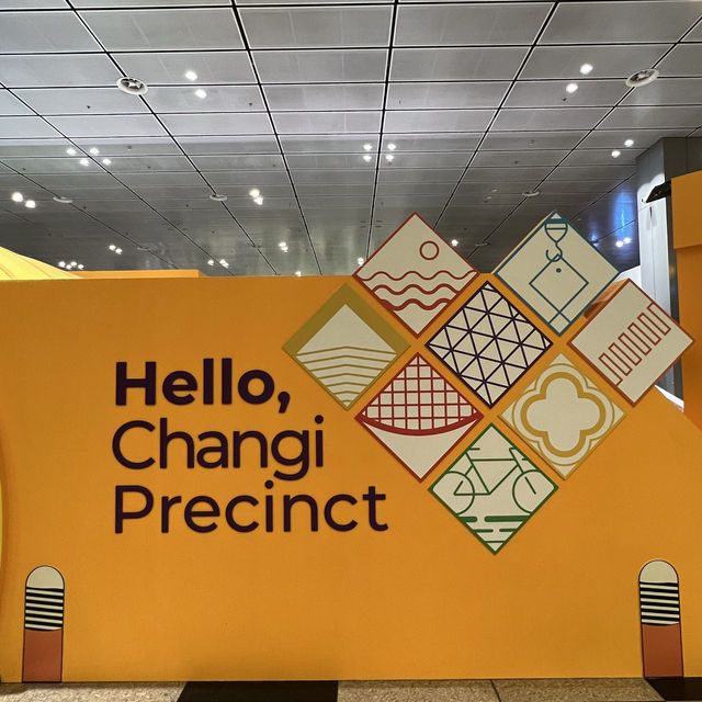 ✈️ Changi Airport Precinct exhibition