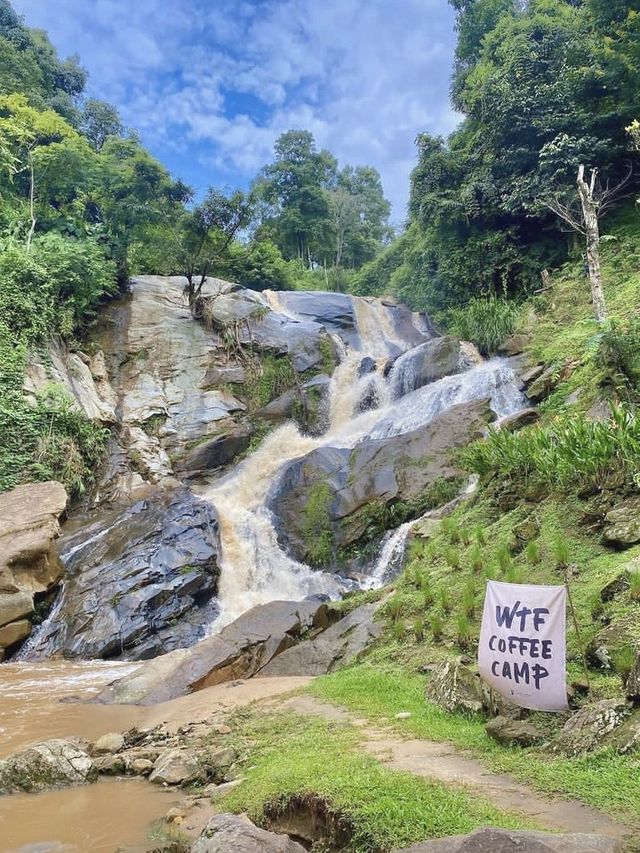 WTF Coffee Camp 🏕🌲