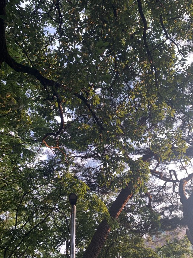 경남 진주 최고의 연못공원💚 강주연못 💚