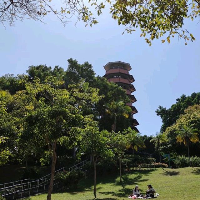 偷得浮生半日閑😎