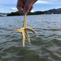 Sai Kung Kayaking Trip!