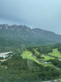 설악산 울산바위를 한눈에! 역대급 웅장한 뷰 카페 ‘ 더 엠브로시아 ‘