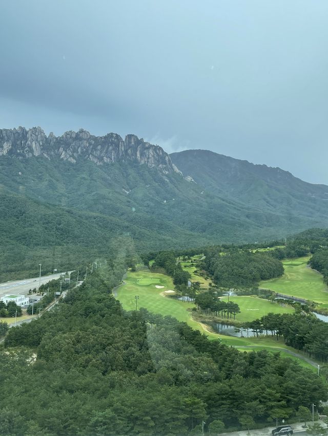 설악산 울산바위를 한눈에! 역대급 웅장한 뷰 카페 ‘ 더 엠브로시아 ‘