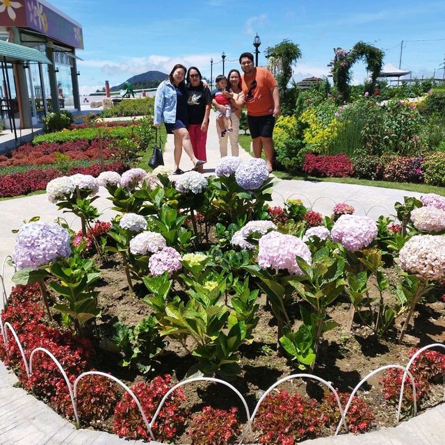 On top of the 'world' at Apo Flower Garden