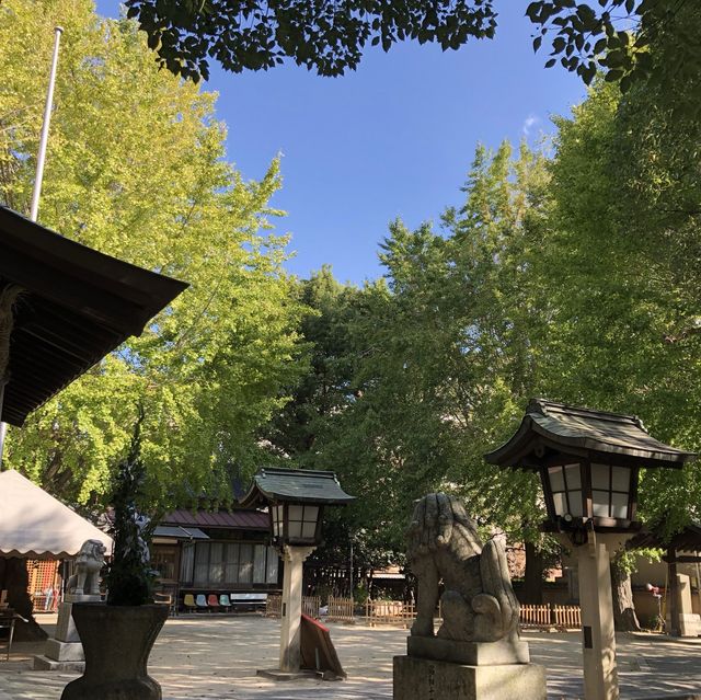 【福岡】御神木の公孫樹が見応えあります