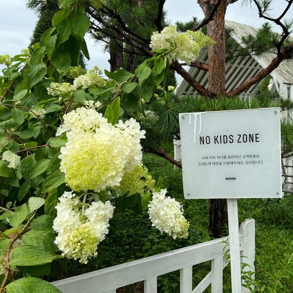 활짝 핀 수국을 입장료 없이 볼 수 있는 곳!!🌳
