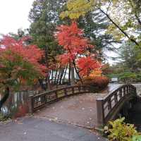 岩手県！盛岡城跡公園で紅葉狩り