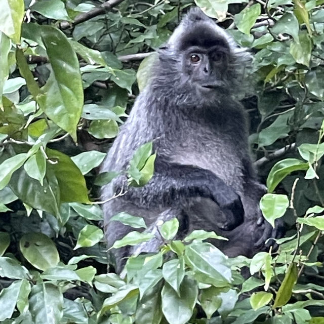 Exploring the Beautiful Nature in Brunei 