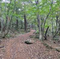 Hallasan Volcanic Mountain tour