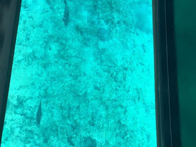 旅遊推介 沖繩站-部瀨名海中公園