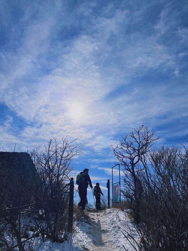강원도 태백에서의 🥾 등산 어때요?
