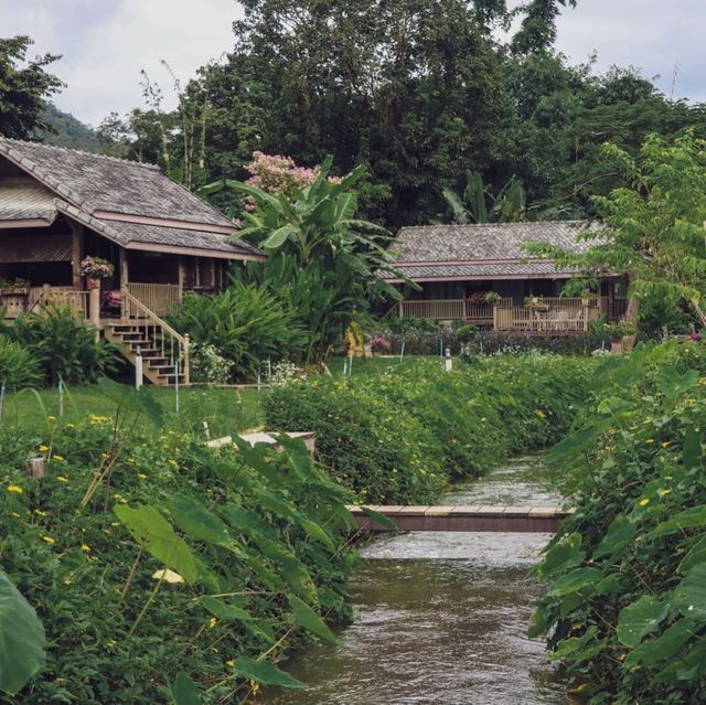 หลองข้าวสะเมิง บ้านพักบรรยากาศดี ในอ้อมกอดขุนเขา