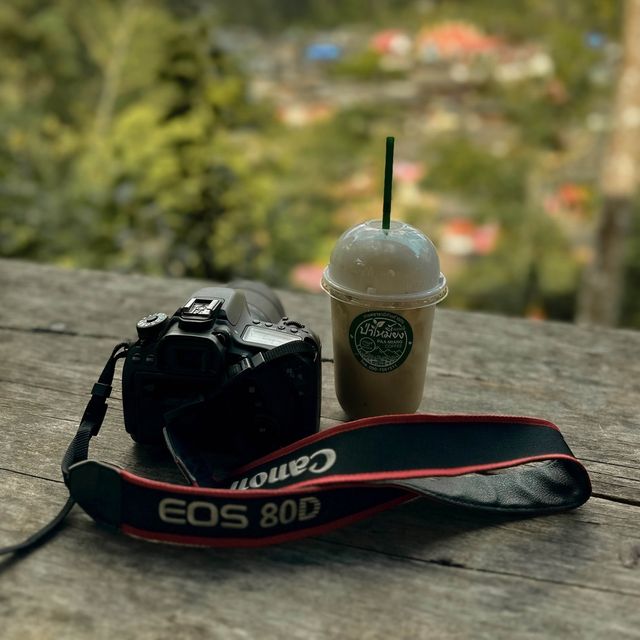 ป่าเหมี้ยง 🍃 คอฟฟี่ คาเฟ่เล็กๆ ในป่าใหญ่ 🌲🌲