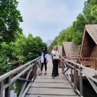 TAMAN WISATA ALAM MANGROVE, JAKARTA❤️