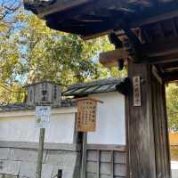 【銀閣寺】日本庭園🇯🇵