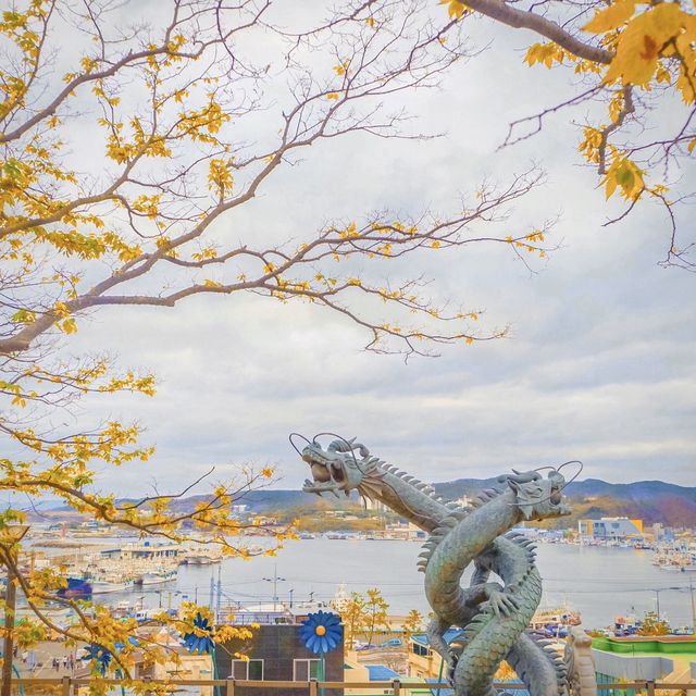 포항의 드라마 촬영명소인 이 곳 ! 구룡포✨