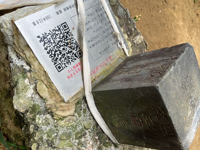 康樂山親山步道｜湖水城景盡收眼底❤️‍🔥