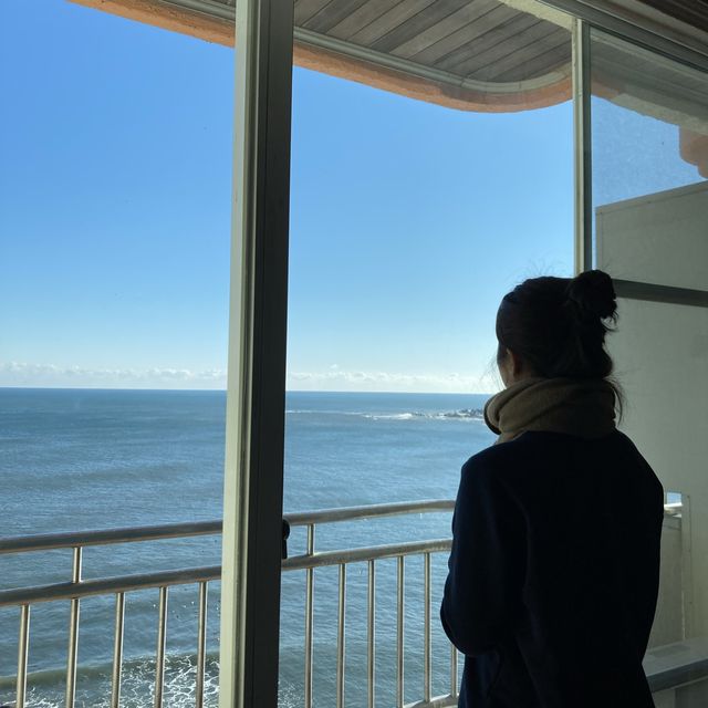 오션뷰 콘도 [금강산콘도]