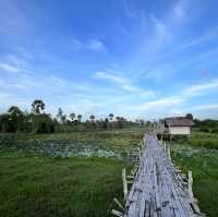 สะพานไม้สาวโนเล