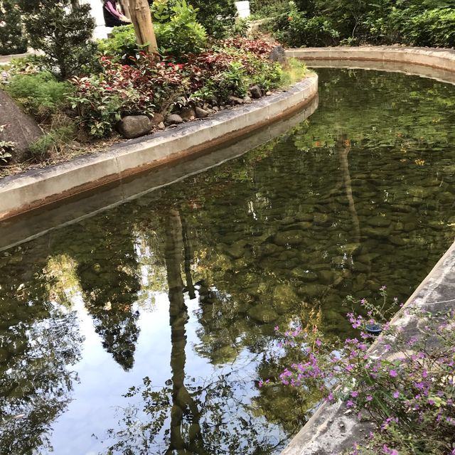鳥魚花香的休閑公園
