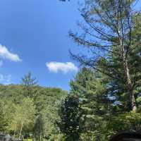 아침고요수목원에서 꽃구경 즐기기~🌳