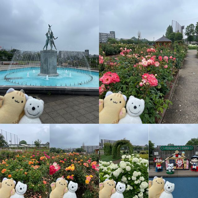 クマ散歩：秦野市中央運動公園に品行方正なクマ出没