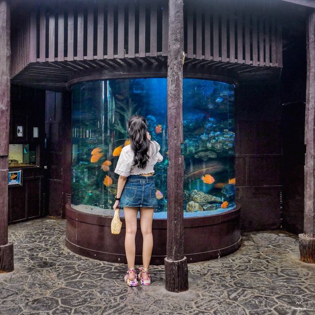 ผจญภัยโลกใต้น้ำ “Under Water World” พัทยา!
