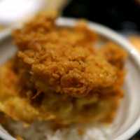 일본여행 도쿄 카레우동맛집 센키치