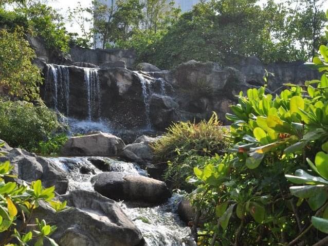 香港少有嘅生態公園～香港濕地公園