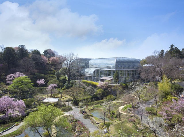 Makino Botanical Garden