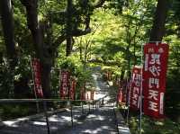 【京都】毘沙門堂　山科区北部