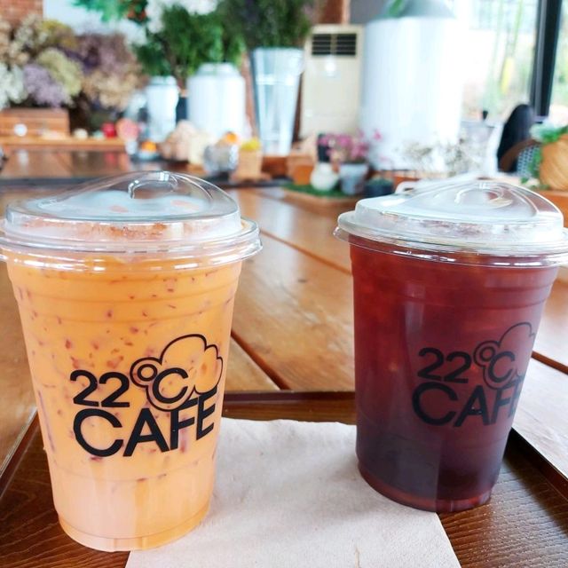 คาเฟ่ สุดเก๋ ที่วังน้ำเขียว